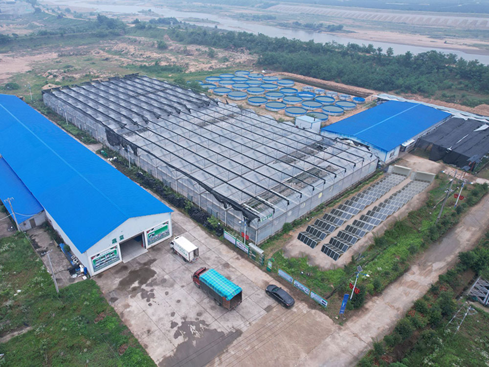 Solar Power Containers for Sursa de alimentare furnizata de sine